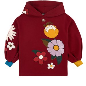 Dolce & Gabbana Floral Hoodie Red 10 år