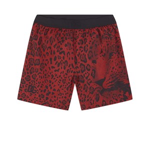 Dolce & Gabbana Leopard Badbyxor Röda 4 år