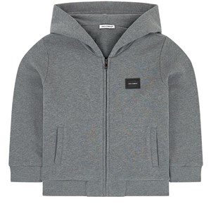 Dolce & Gabbana Huvtröja med Märkeslogga Grå 4 years