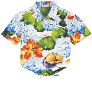 Dolce & Gabbana Floral Skjorta Blå 8 år