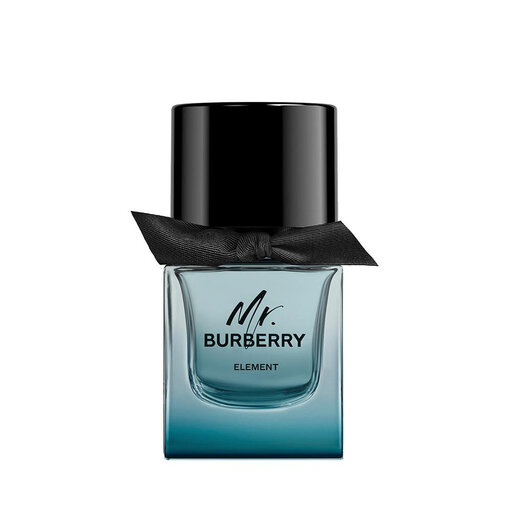 Mr Burberry Element EdT