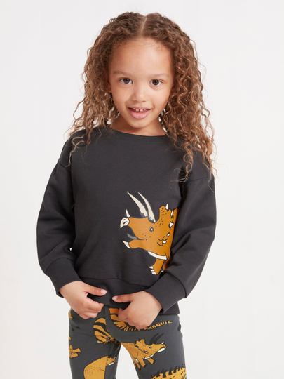 Sweatshirt med dinosaurie