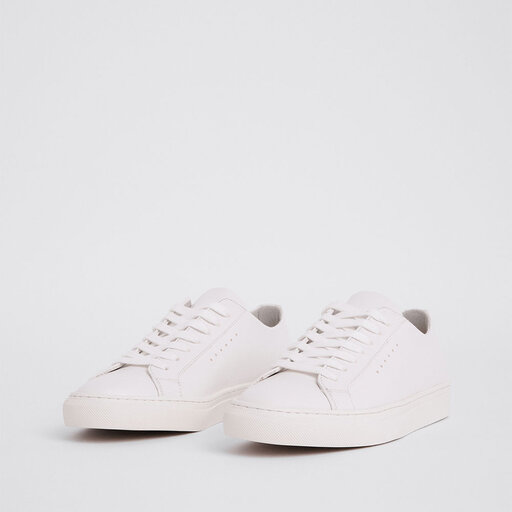 Sneaker Kate Low