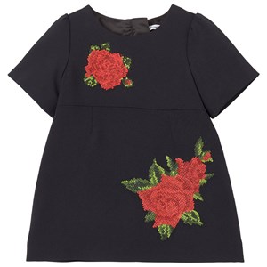 Dolce & Gabbana Rose Embroidered Klänning Svart 6-9 mån