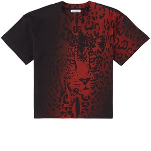 Dolce & Gabbana Leopard T-shirt Svart 4 år