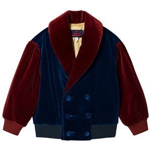 The Animals Observatory Tiger Jacka Navy Blue Yellow Tao 2 år