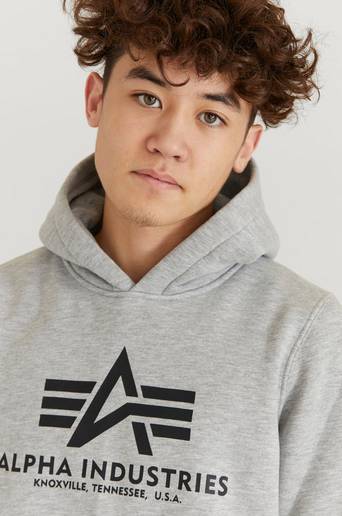 Alpha Industries Hoodie Basic Hoody Kids/Teens Grå