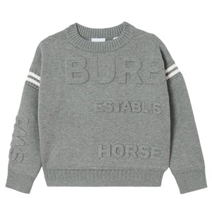 Burberry Guernsey Tröja Grå 12 år