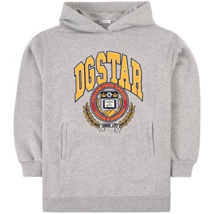 Dolce & Gabbana DG Star Huvtröja Grå 8 år